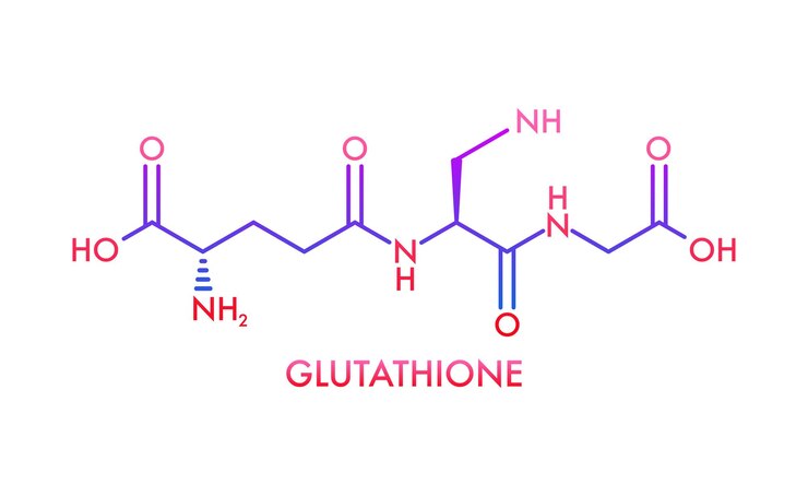 Al momento stai visualizzando Il Glutatione: Un Antiossidante Essenziale nella Fisiologia Umana