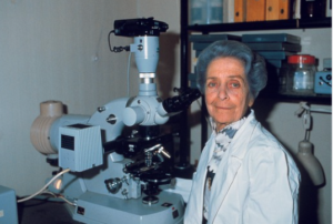 Scopri di più sull'articolo Il Fattore di Crescita Neuronale (NGF) Scoperto da Rita Levi-Montalcini